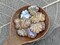*20* 13x11mm Metallic Beige Washed Matte Pale Pink Maple Leaf Beads